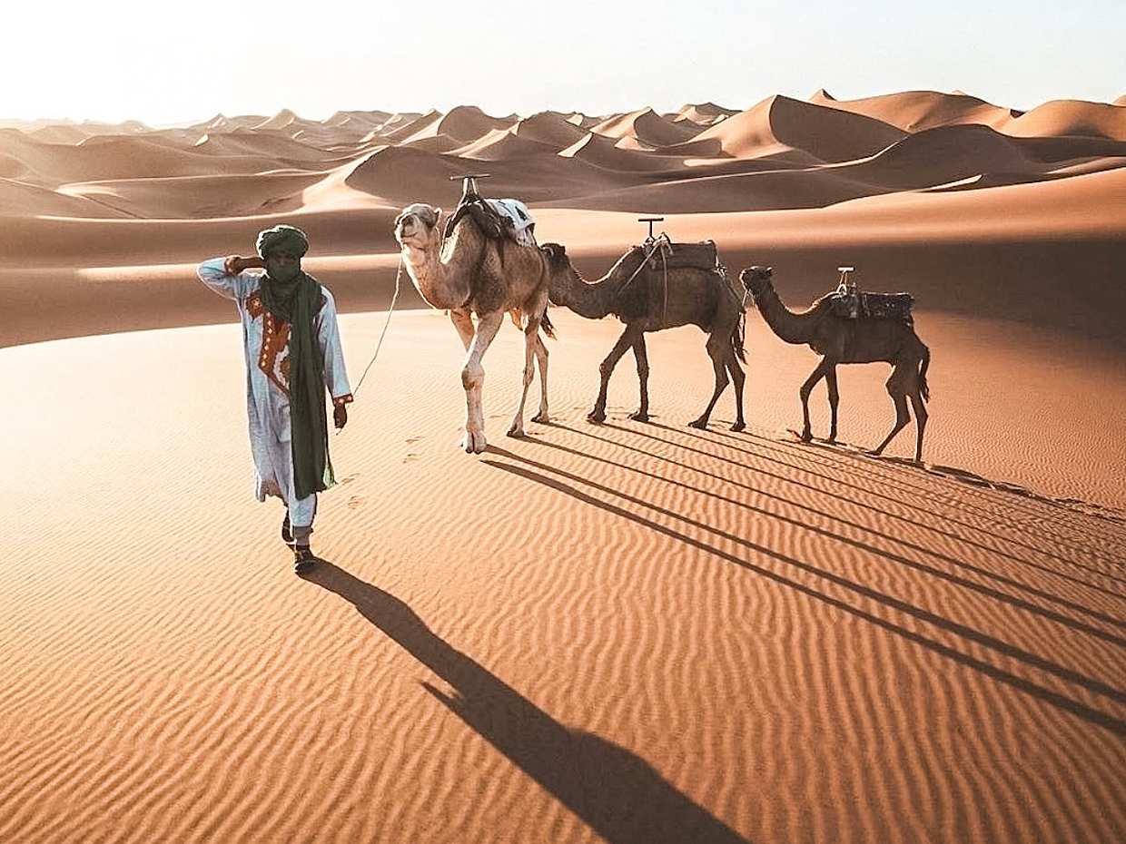 5-Day Desert & Heritage Adventure in Tunisia from Tunis