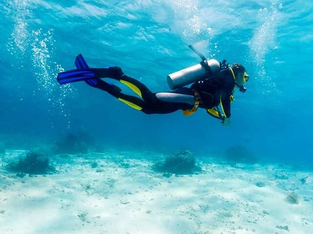 Scuba Diving Tour Fujairah, photo 3