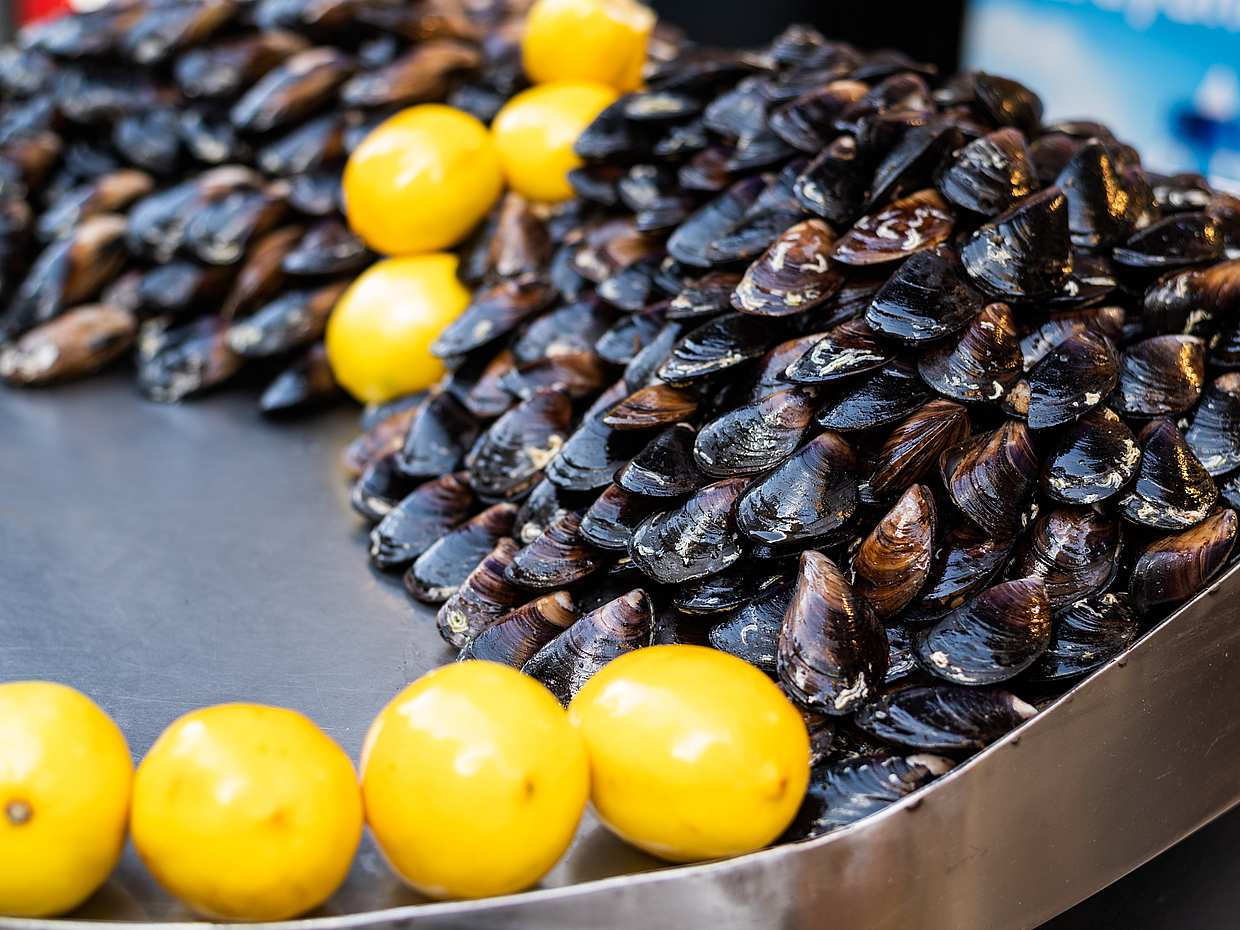 Istanbul Asian Side Food Tour, Türkiye