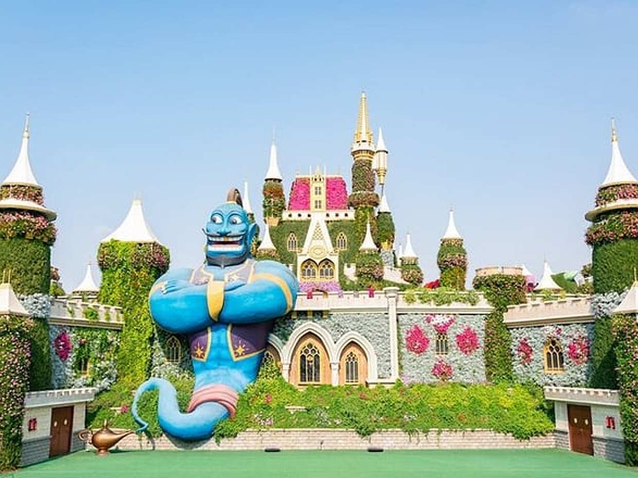 Miracle Garden and Butterfly Garden Combo, photo 3