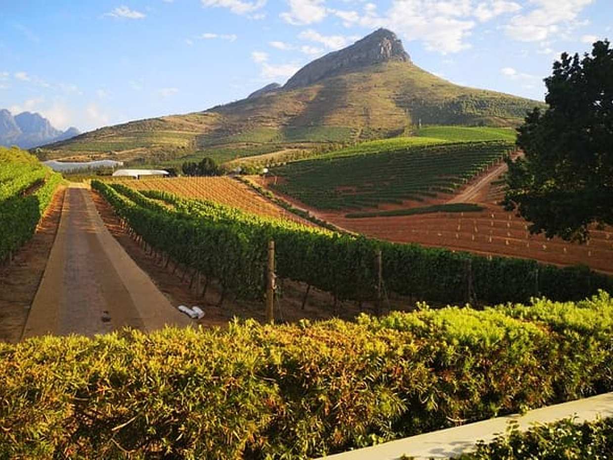 Private Cape Winelands Tour from Cape Town, photo 5