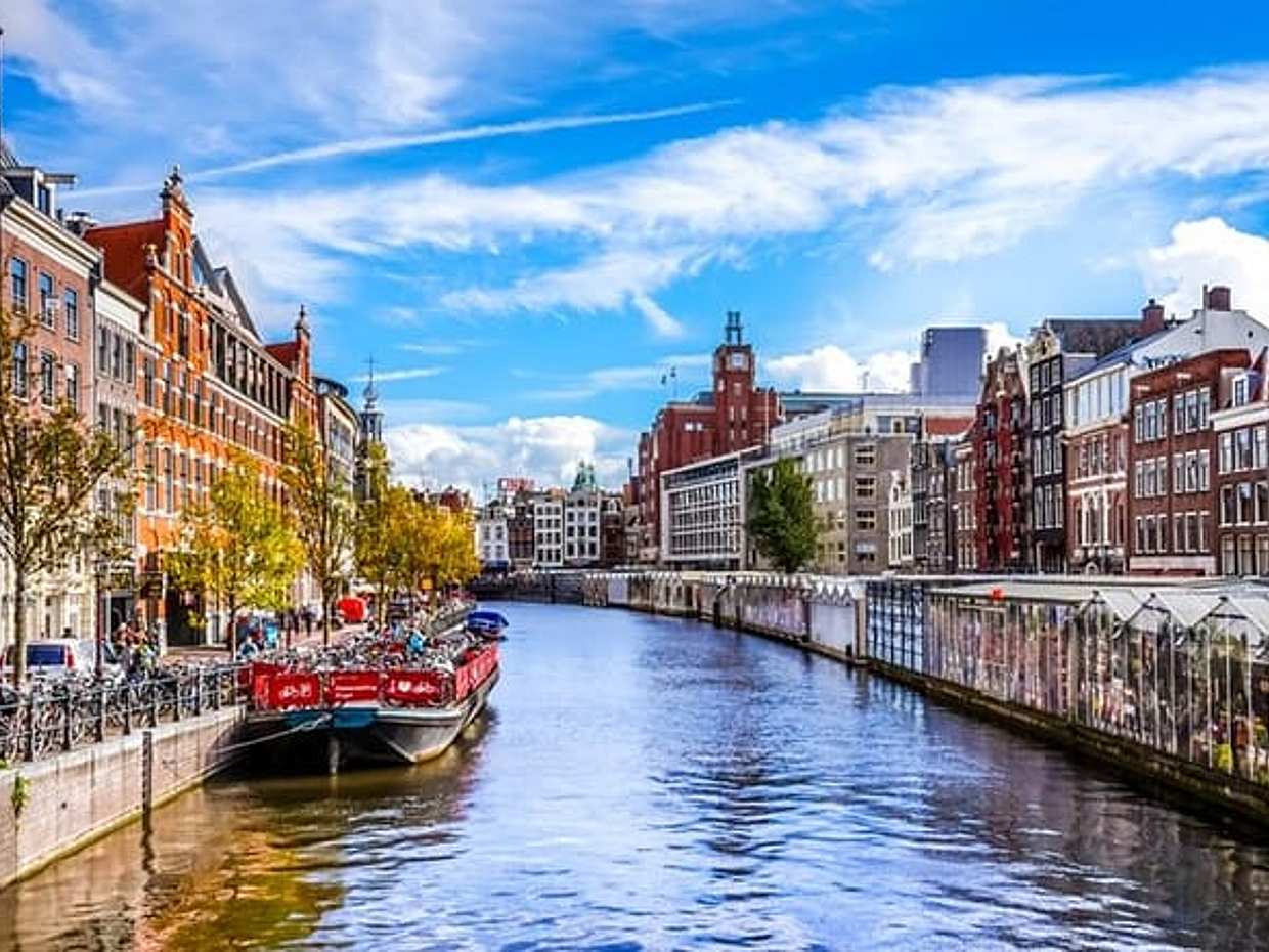 Amsterdam: Průzkumná hra „Zlatý tulipán“ v Nizozemsku.