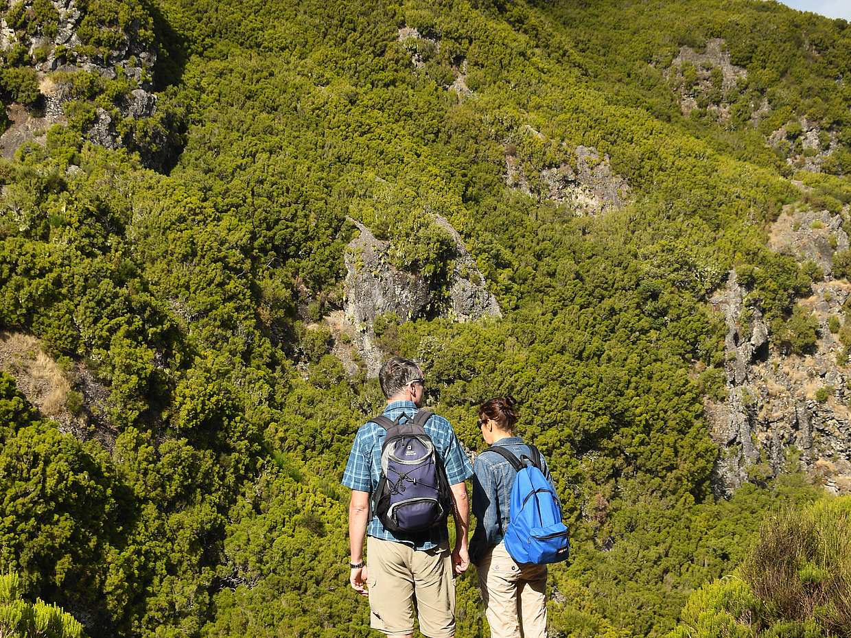 Rabaçal, Risco Waterfall and 25 Fountains Full-day Walking Tour in Portugal, Funchal, photo 2