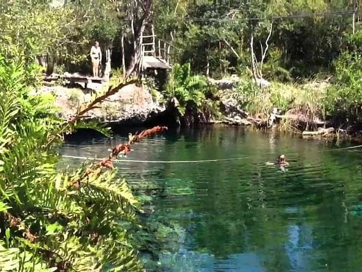 Tulum and Cenote Shared Day Trip in Mexico, Cancún, photo 5