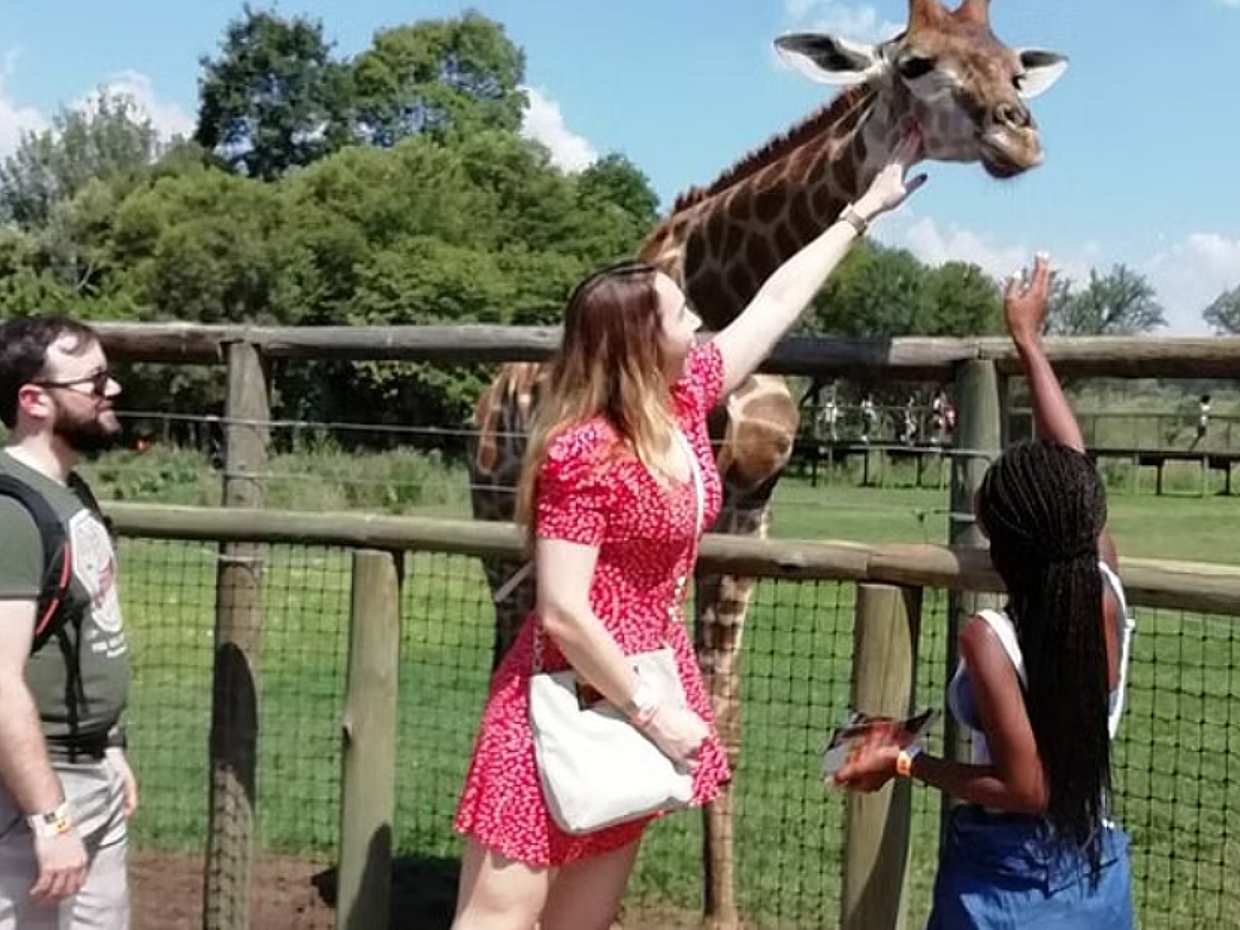 Half-day Lion and Safari Park Tour in South Africa, Johannesburg, photo 2
