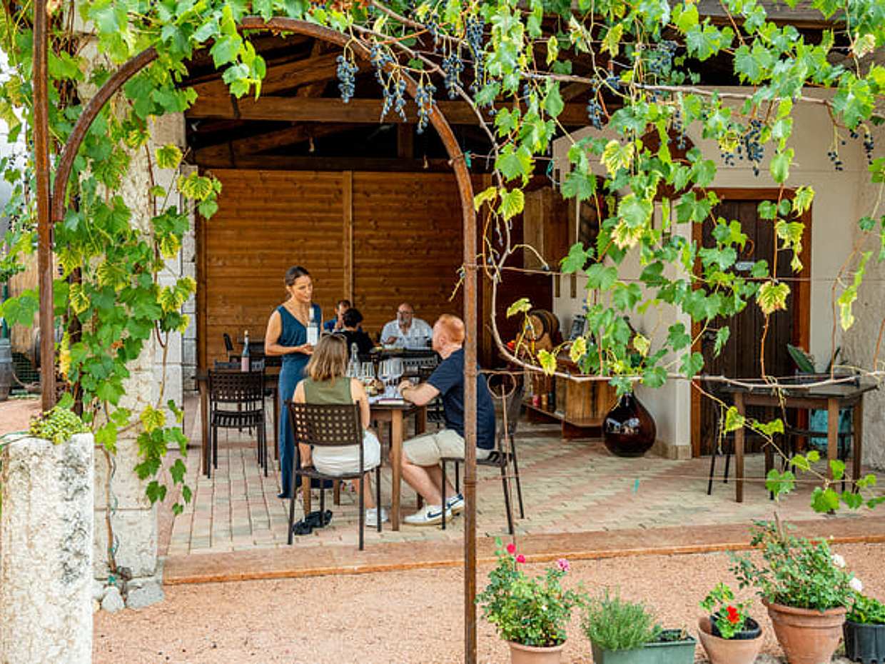 Taste 4 Wines with cellar tour in a Historic Countryside Winery, photo 2