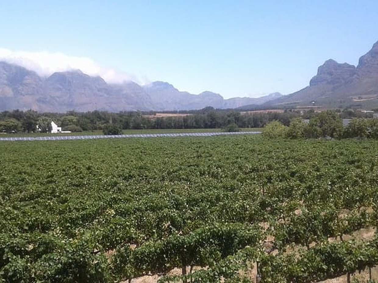 Private Stellenbosch, Franschhoek Paarl Wine Tour from Cape Town in South Africa, photo 4