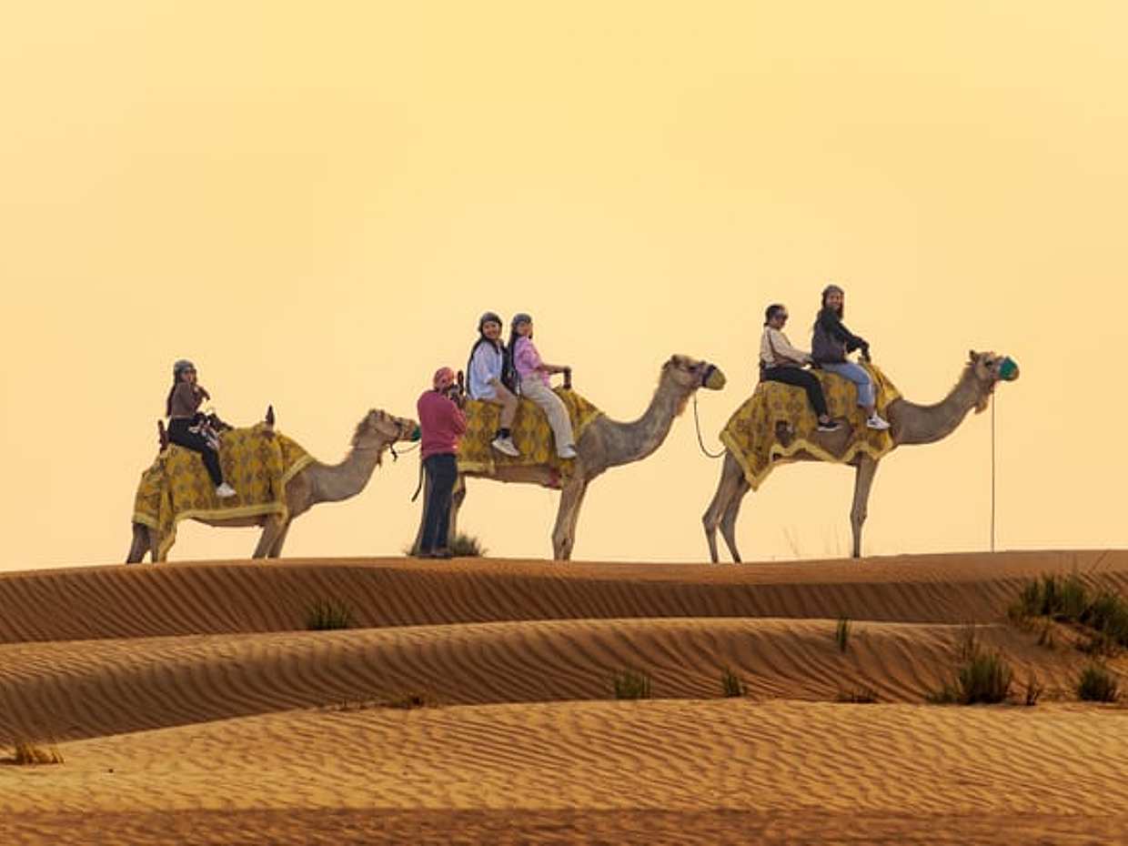 Dubai Desert Buggy Driving Experience with Dune Bashing & Camel Ride, photo 5
