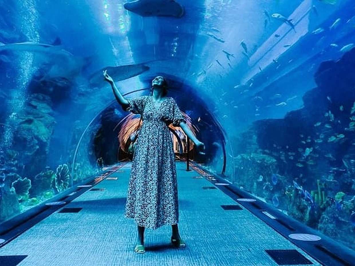 Dubai Aquarium and Underwater Zoo Tickets in United Arab Emirates, photo 2