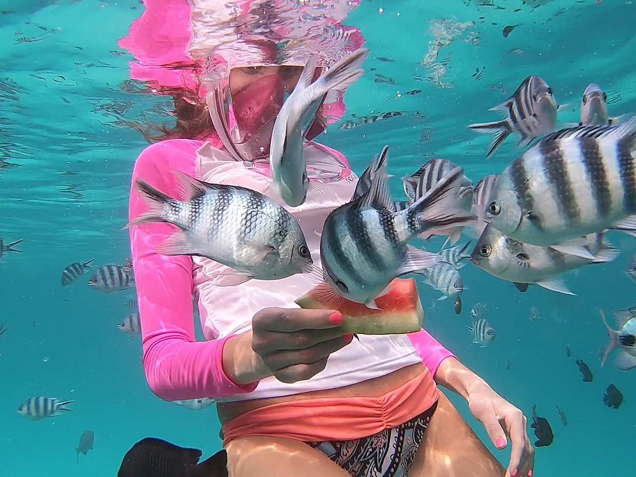 Schnorcheln am Mnemba Atoll in Tansania, Sansibar.
, photo 3