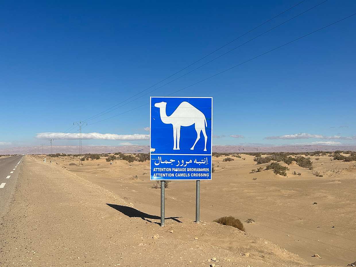 Desert Adventure: Camel Trek & Wild Camping – 7 Days (From Tunis) in Tunisia, photo 3