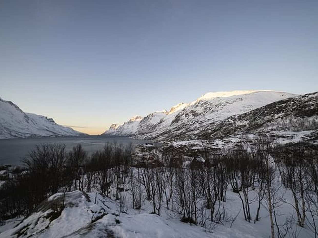 Tromsø Island Snowshoe Hike with Free Photos & Arctic Meal, photo 3