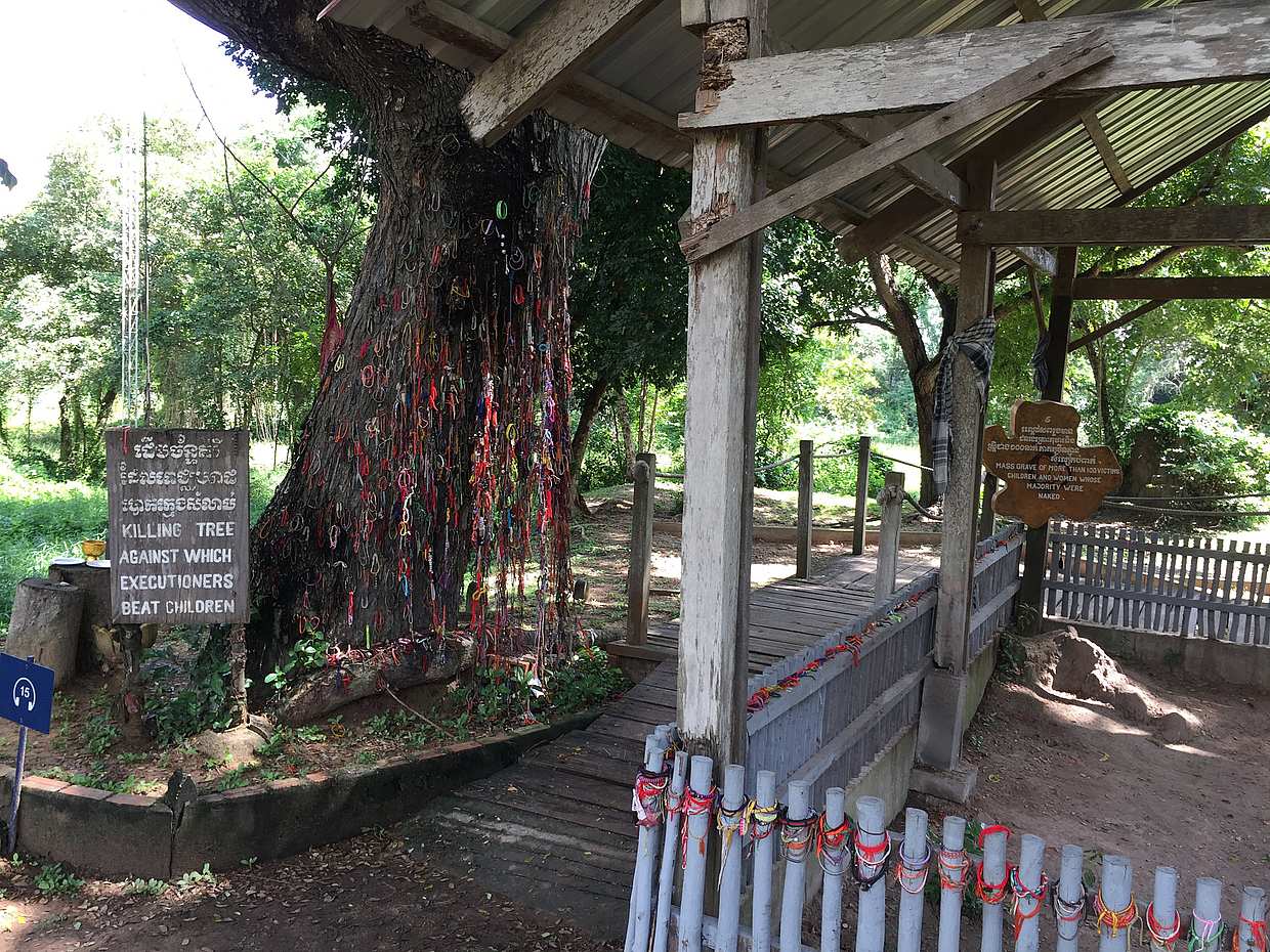 Private Halbtagestour zum Genozid-Museum (S21-Gefängnis) und Killing Field in Phnom Penh, Kambodscha
, photo 5