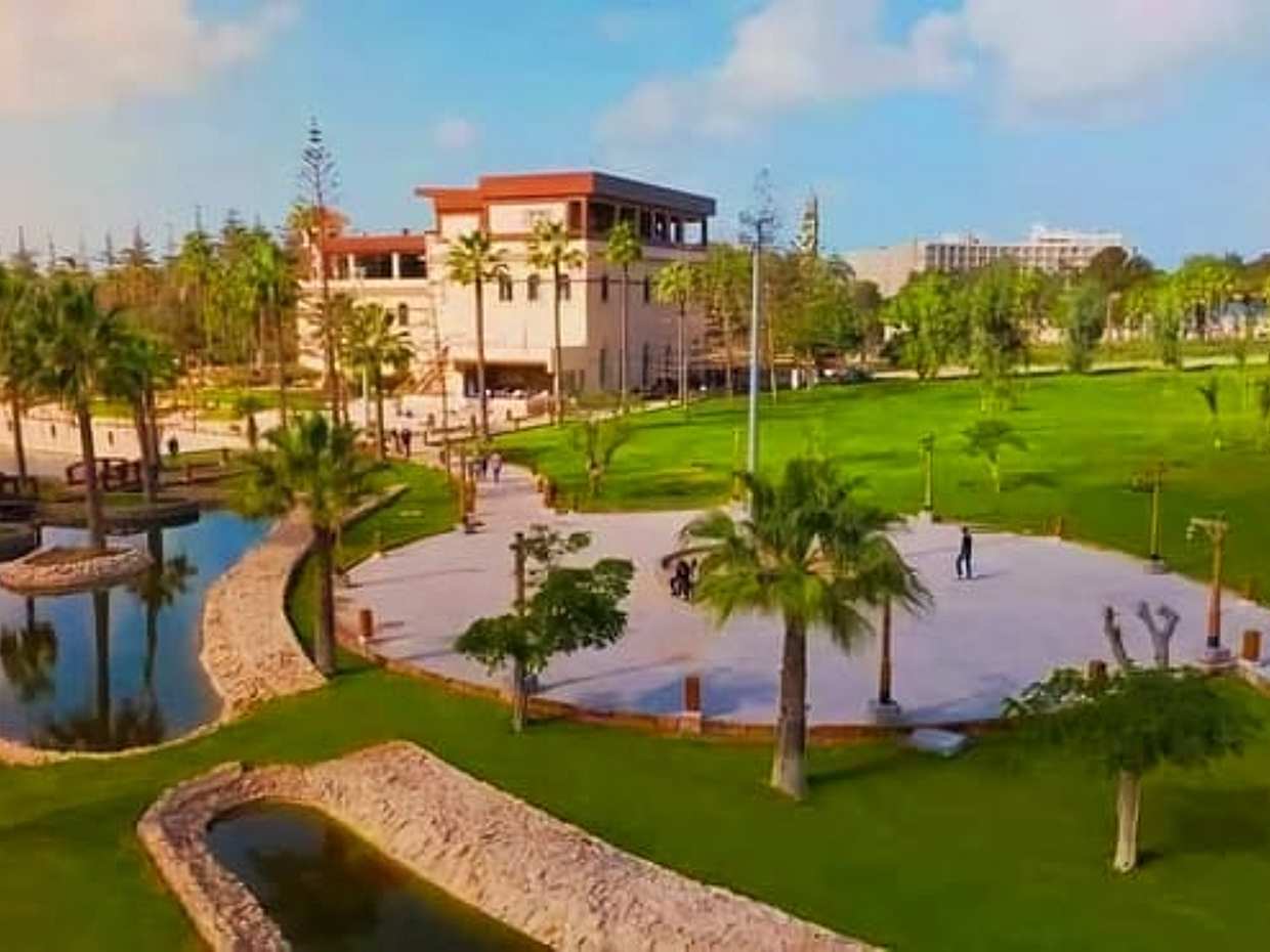 Royal Alexandria: Mediterranean Culture & a swim from Cairo, photo 3