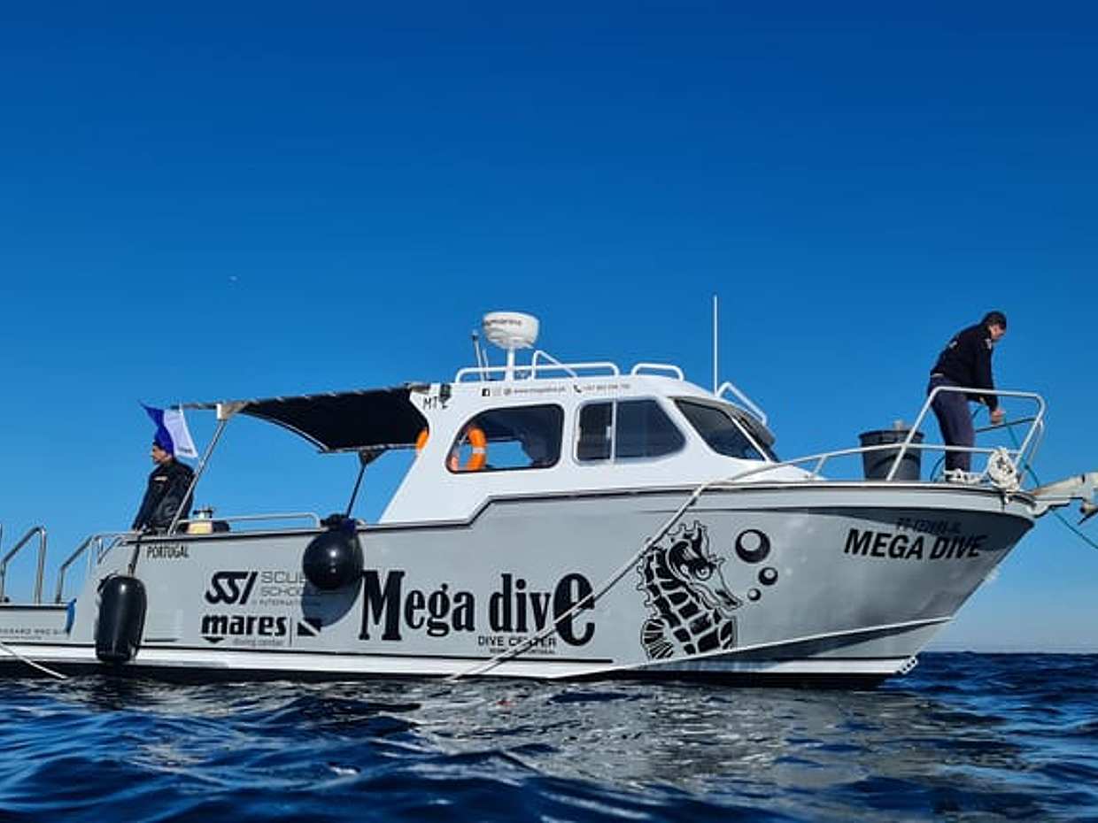 Duplo Mergulho numa Reserva Marinha em Portugal, Sesimbra.
, photo 2