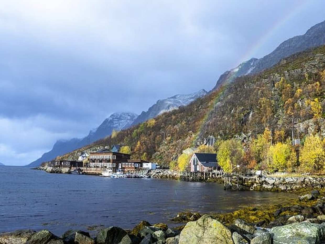 Tromsø: Fjord Adventure Tour with Wildlife and Lunch, photo 3
