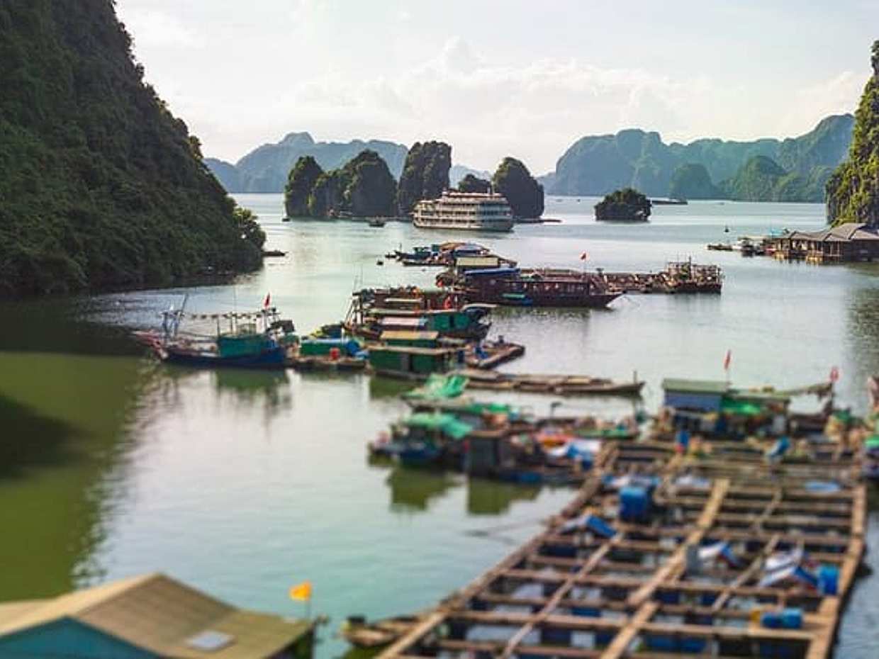 Halong 2 Days Wellness Voyage, photo 5