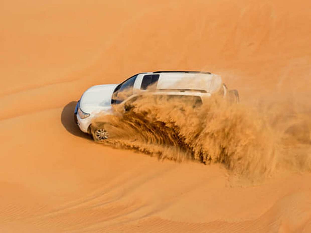 Book 4-Hour Morning Desert Safari Tour from Dubai in United Arab Emirates, photo 4