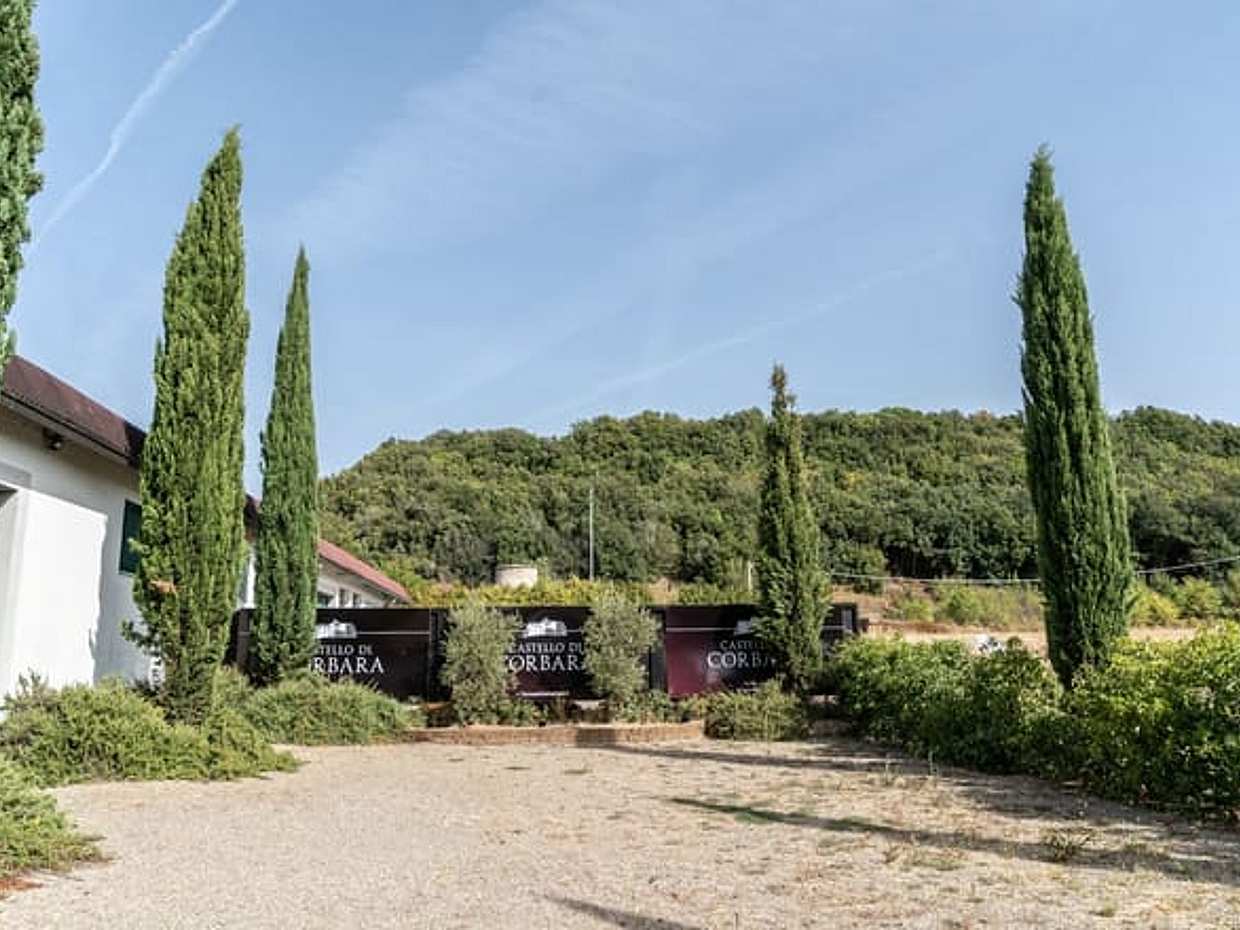 The Wines of Corbara: Exploring the Flavors of Umbria, photo 5