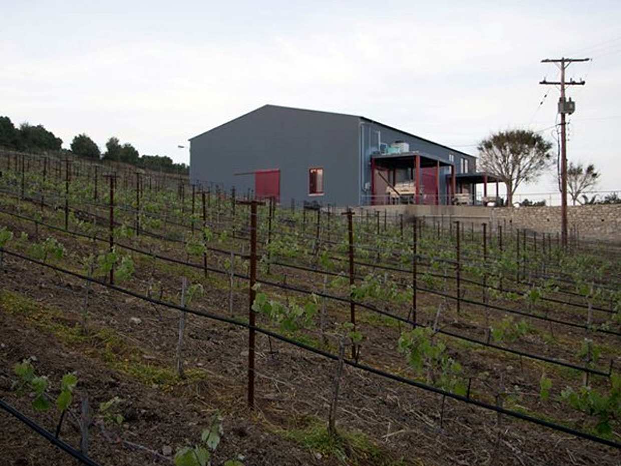 RTH02. Explore the Secrets of Wine and Olives in Greece, Rethymno