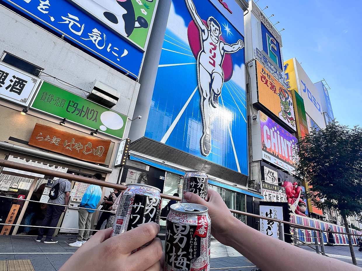 Zabawna wycieczka po Osace: Kultura, zamki i lokalne przysmaki w Japonii, Zabawna jednodniowa wycieczka: Kultura i zamki, photo 4