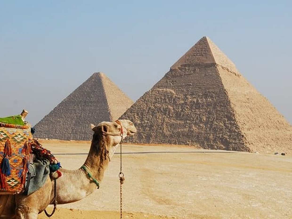 Pyramids tour half day., photo 2