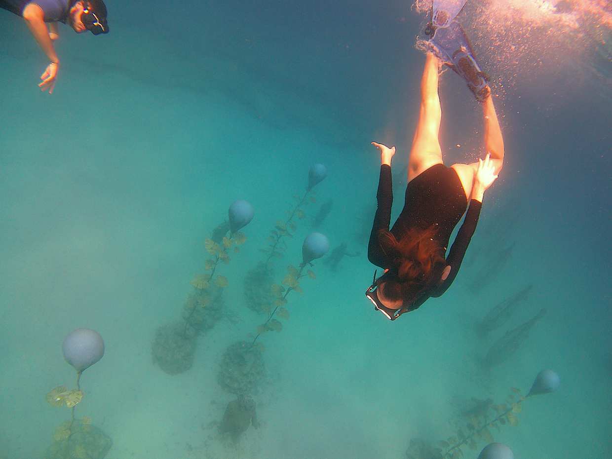 Snorkelling on MUSAN (underwater museum of Ayia Napa)