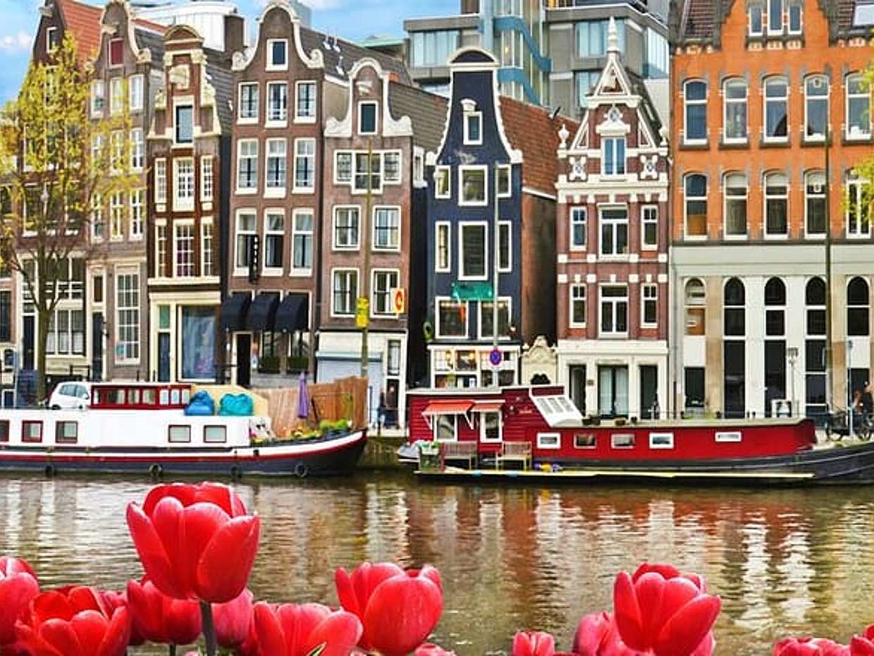 Privétransfer van Brugge naar Amsterdam, 2 uur stop in Utrecht in België.