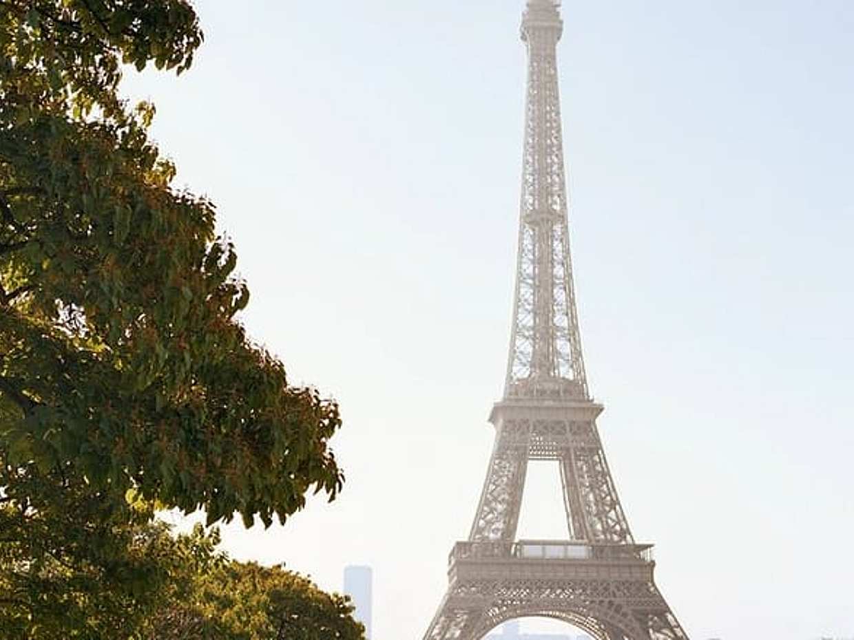Eiffel Summit and Walking Tour in Saint Germain des Prés