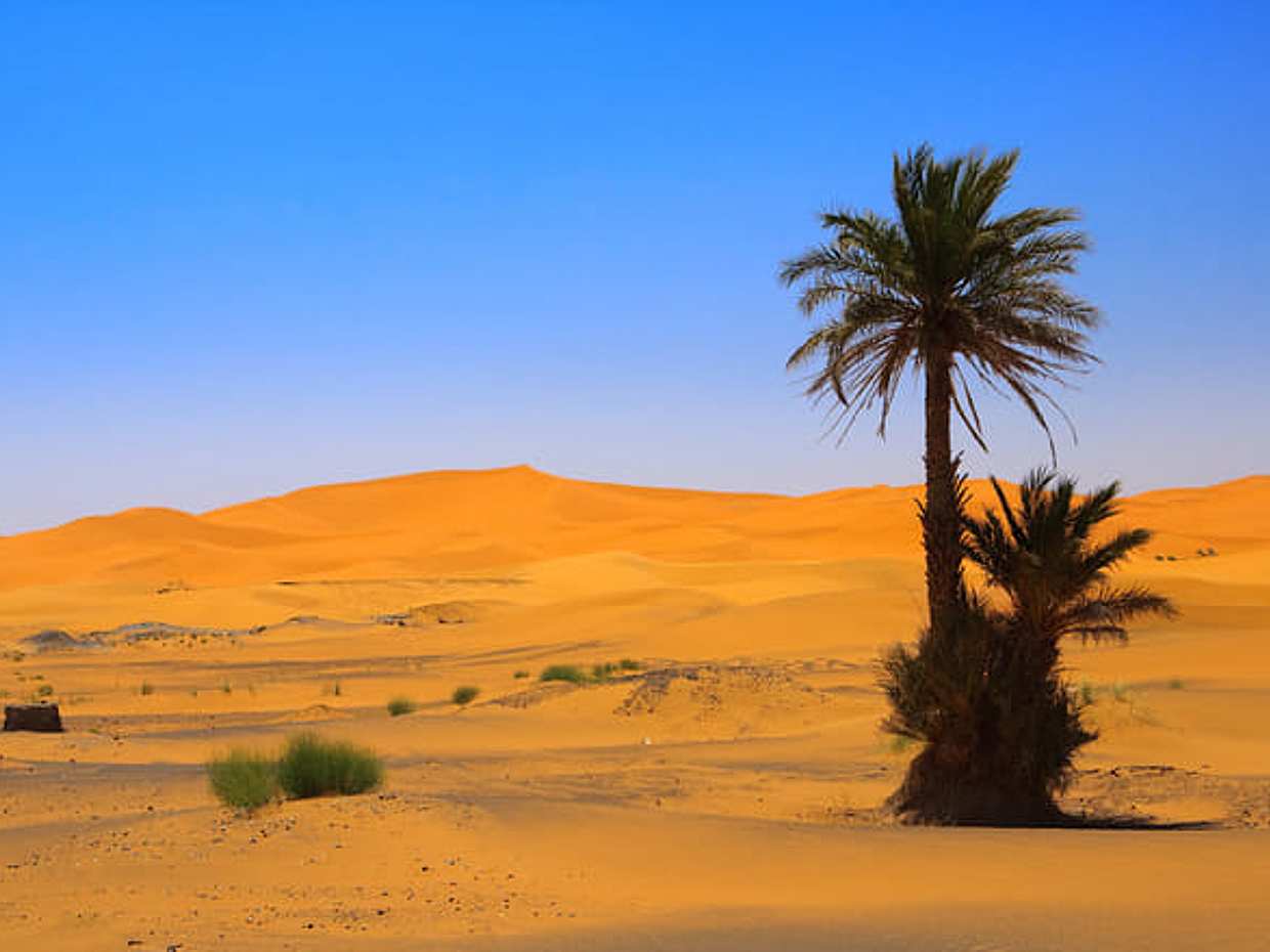 Desert and Fez Tour 3 days, photo 4