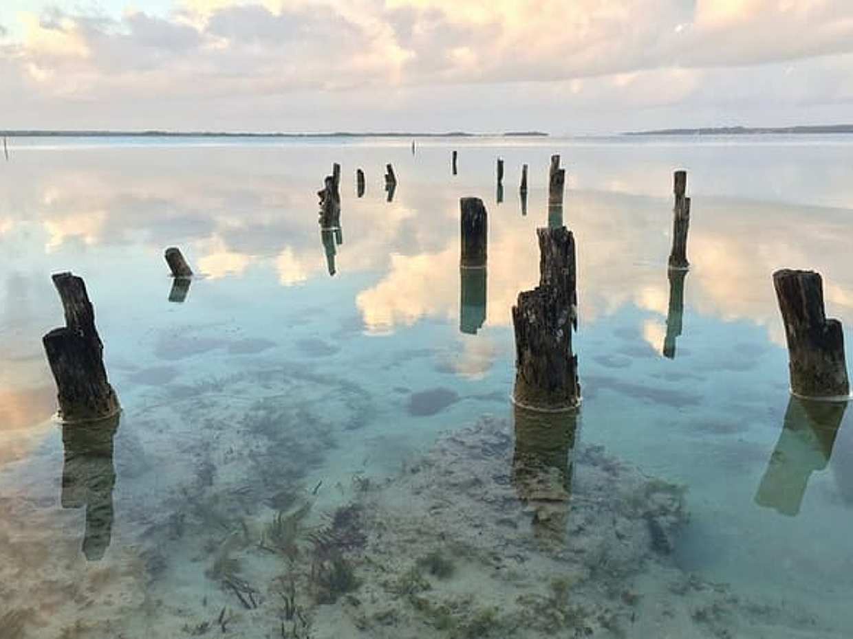 "Privater Transfer von Chetumal nach Mahahual mit 2-stündigem Zwischenstopp, Mexiko", photo 5