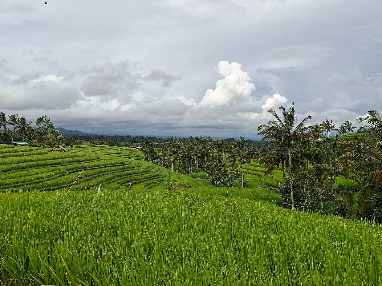 5-day Bali Package in Indonesia, photo 2