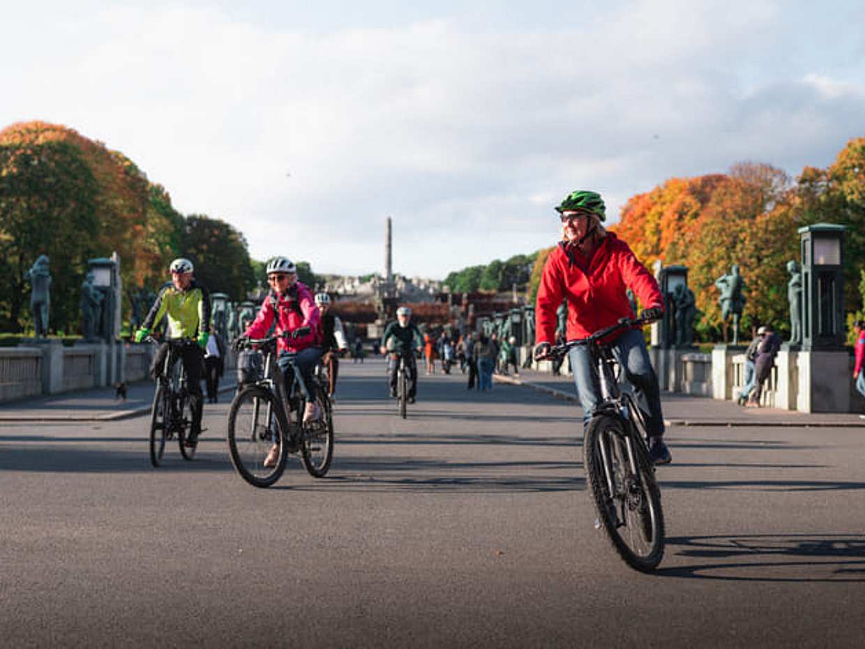 Highlights of Oslo by Bike in Norway, photo 5