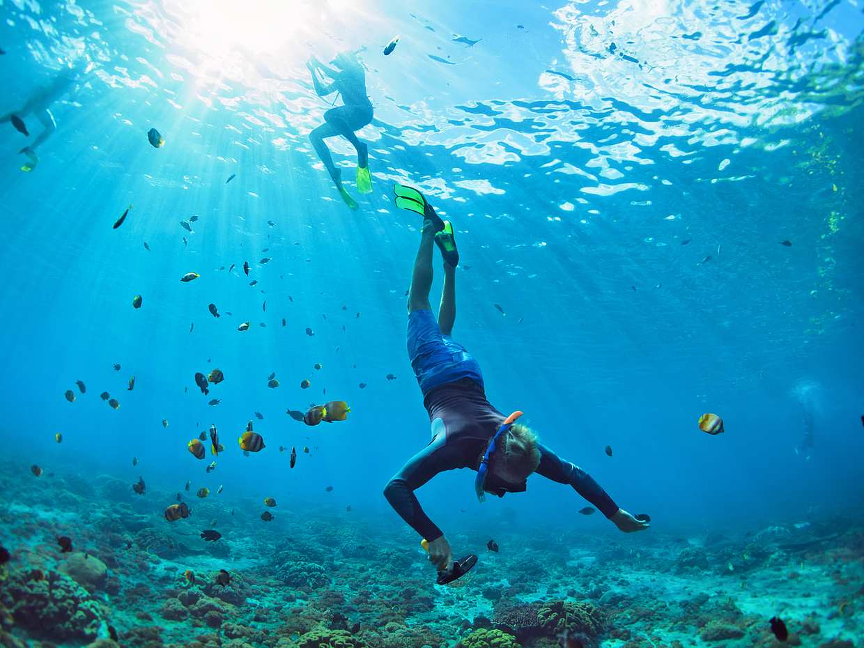 Swim with Manta Rays in Nusa Penida and Nusa Lembongan in Bali, Indonesia, photo 2