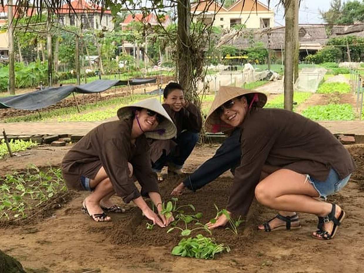在越南会安的茶园村（Tra Que Vegetable Village）体验园艺和烹饪课程, photo 3