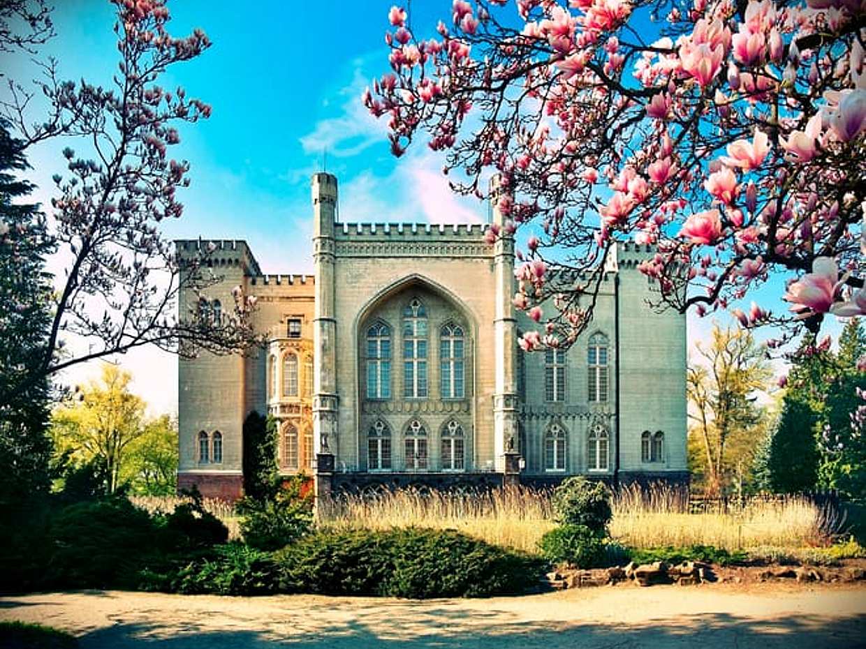Kornik castle & Rogalin palace - PRIVATE tour from Poznan (4h)