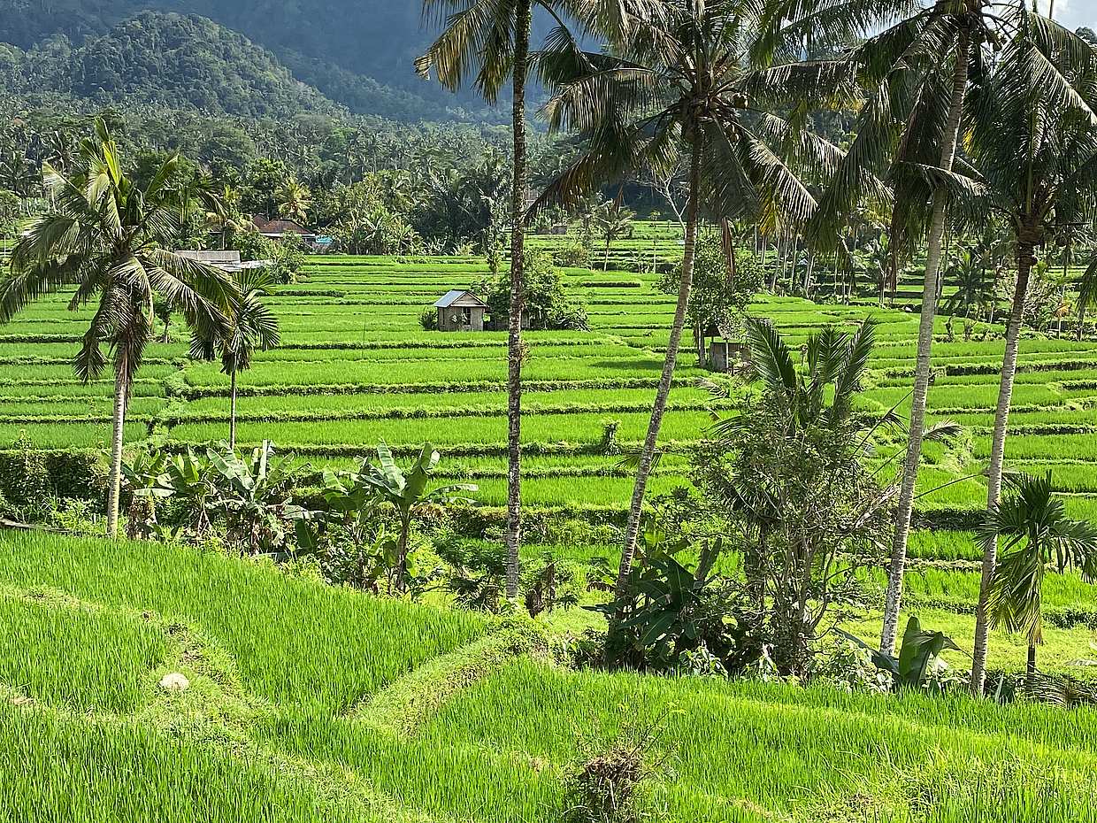 Circuit des trésors cachés de Bali en Indonésie
, photo 5