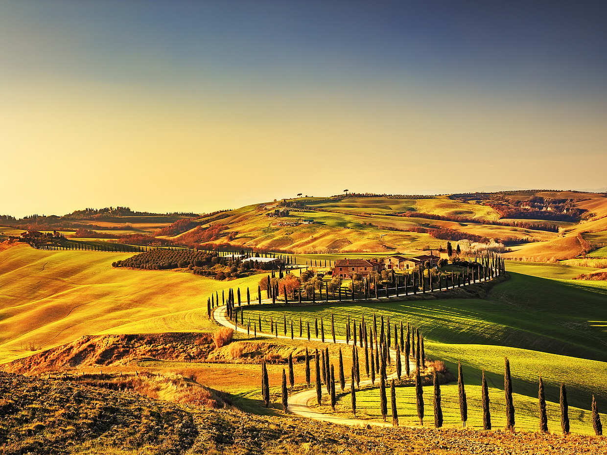 Chianti Wine Tour from Florence in Italy