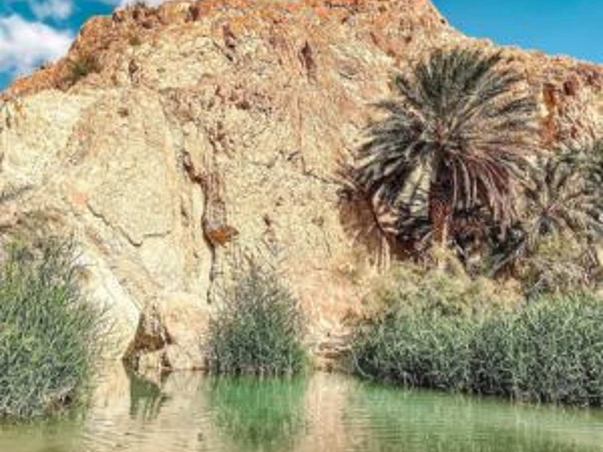 Tunus'tan: Tunus'ta 2 Günlük Sahra Macerası, photo 3