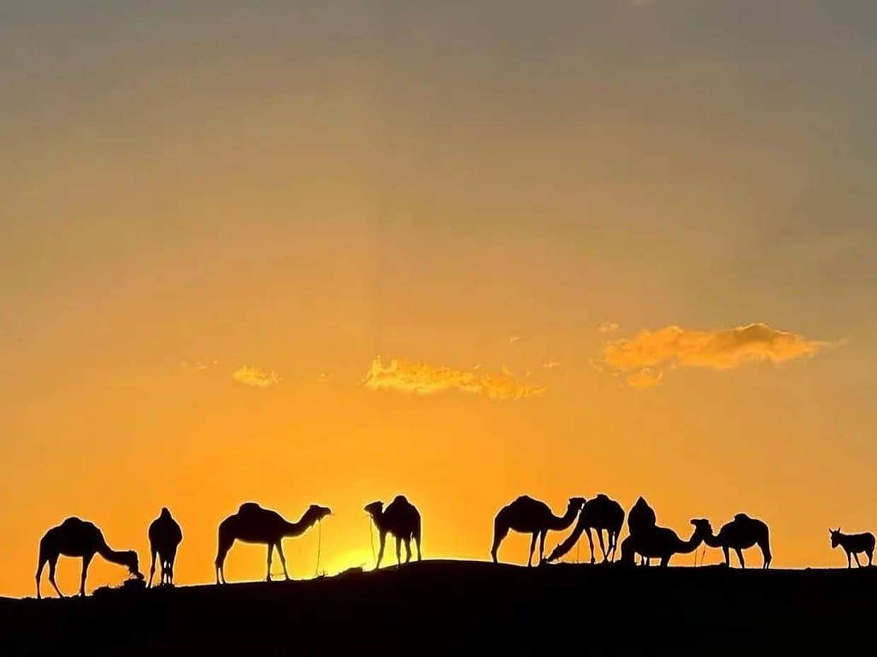 Marrakech: Čtyřkolky a jízda na velbloudech v poušti Agafay, západ slunce a večeře s představením v Maroku, Marrákeš
, photo 2