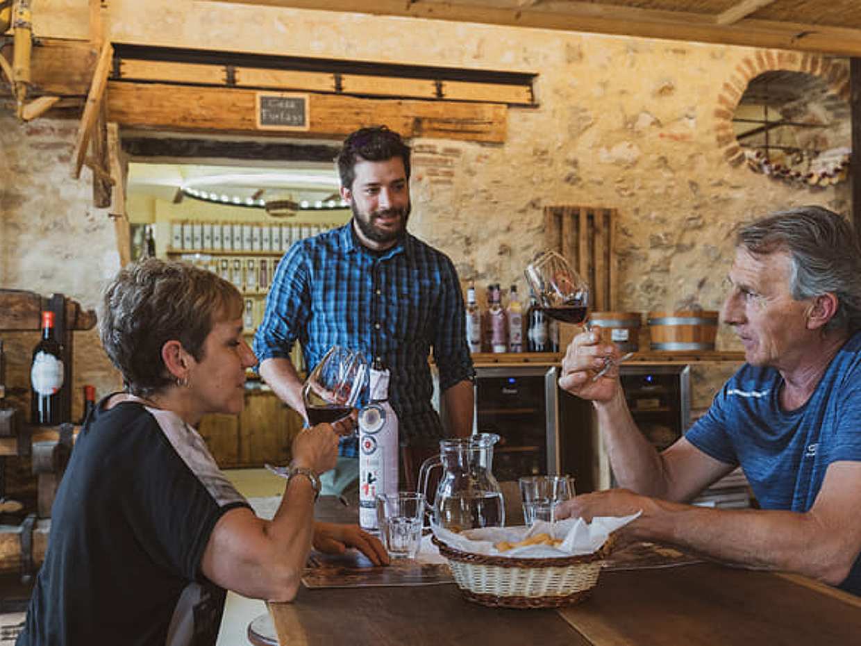 Wine tasting in Valpolicella Classica: the cradle of Amarone