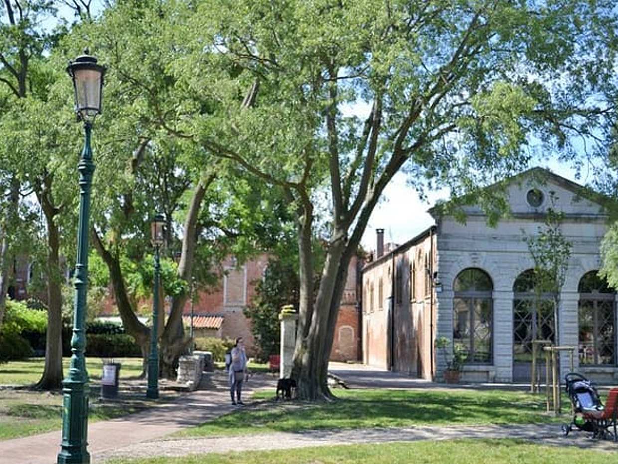 Venice Hidden Gardens: Secret Walking Tour