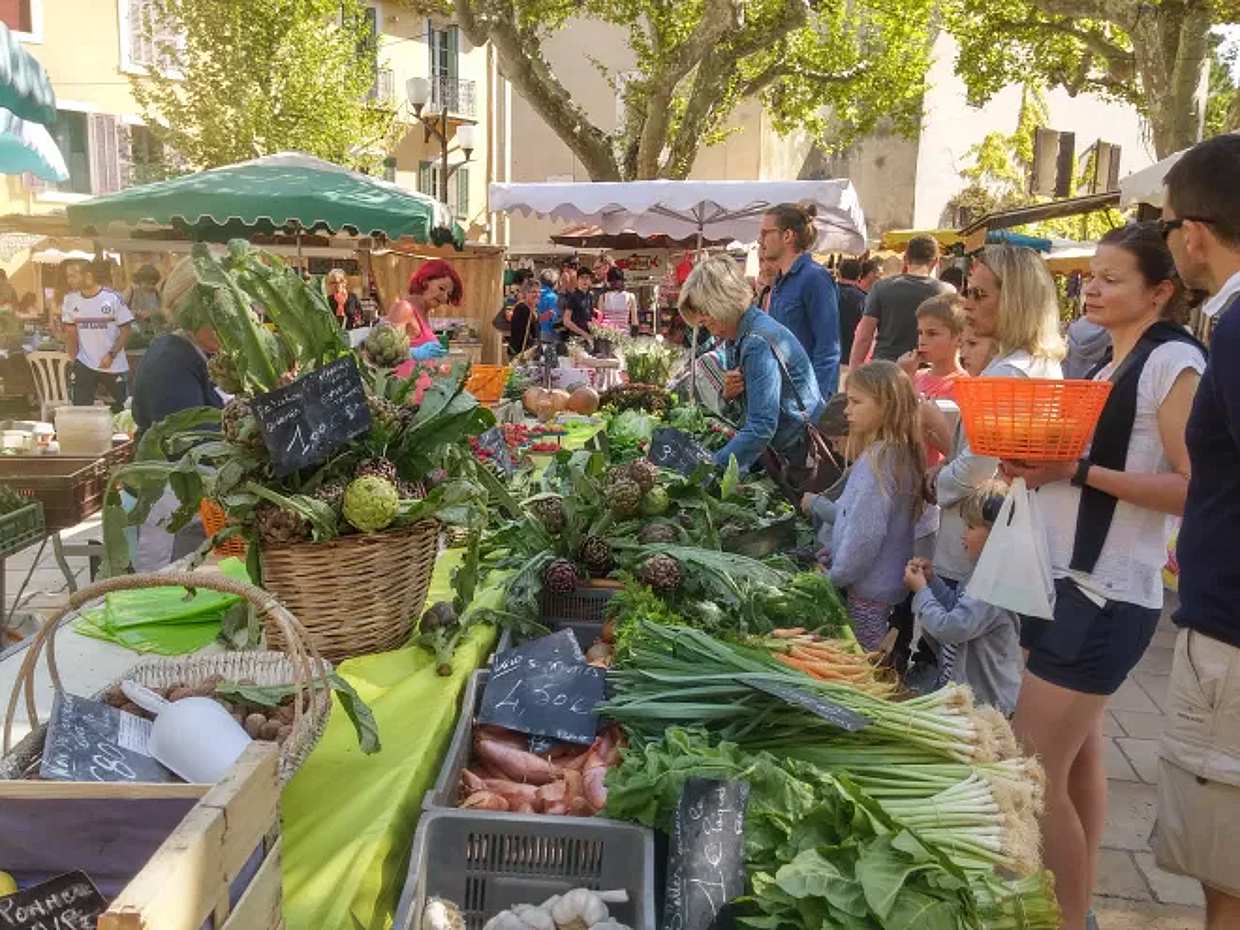 Gourmet tour in Aix-en-Provence, photo 2