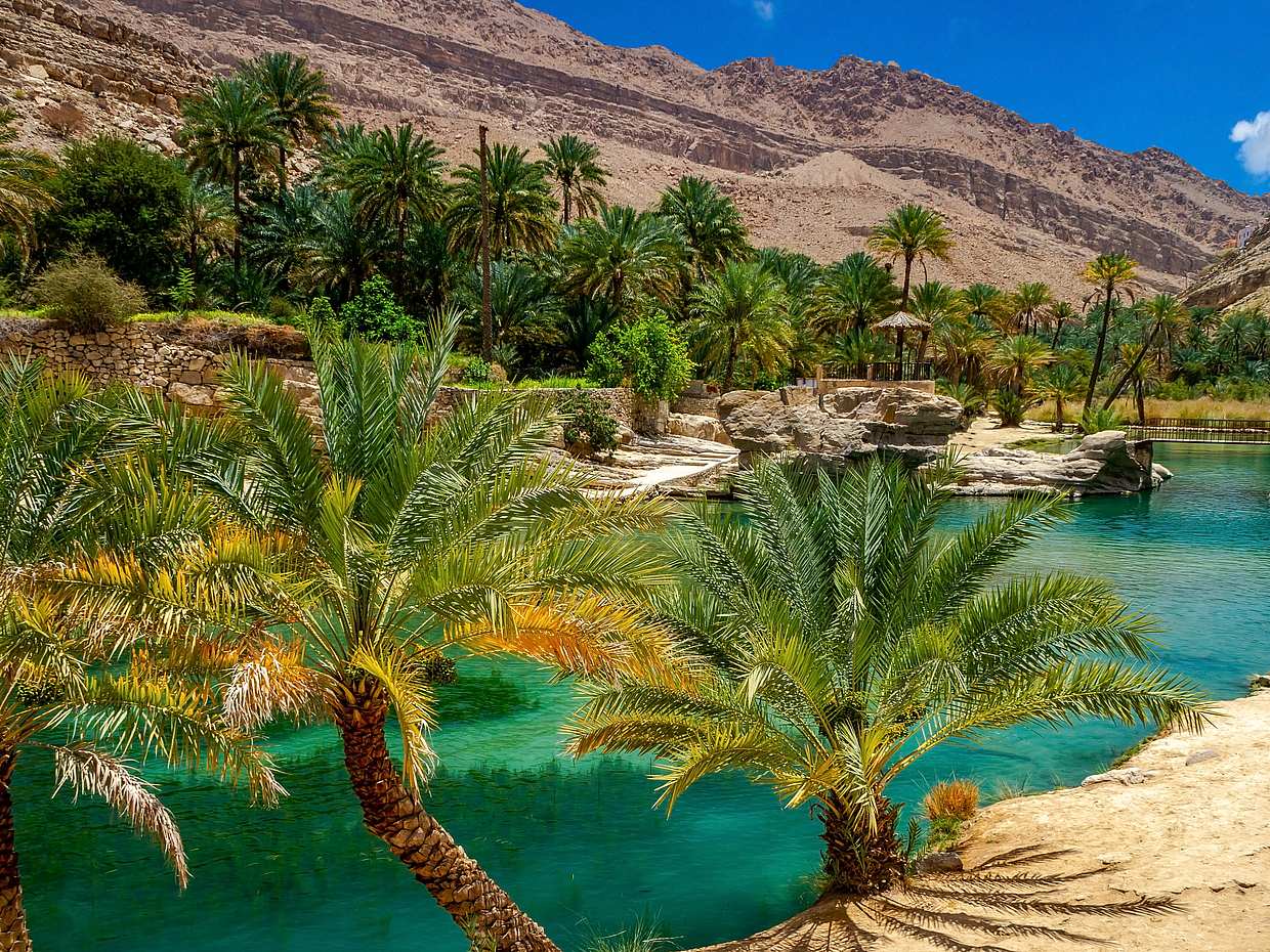من مسقط: جولة واحات وادي بني خالد وصحراء وهيبة في عمان
, photo 4