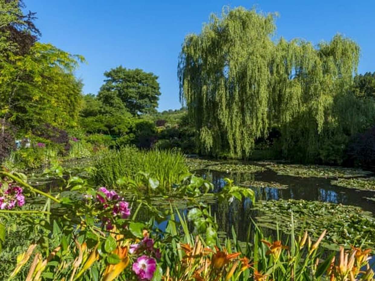 Rouen: Private Giverny Gardens Shore Excursion, photo 2