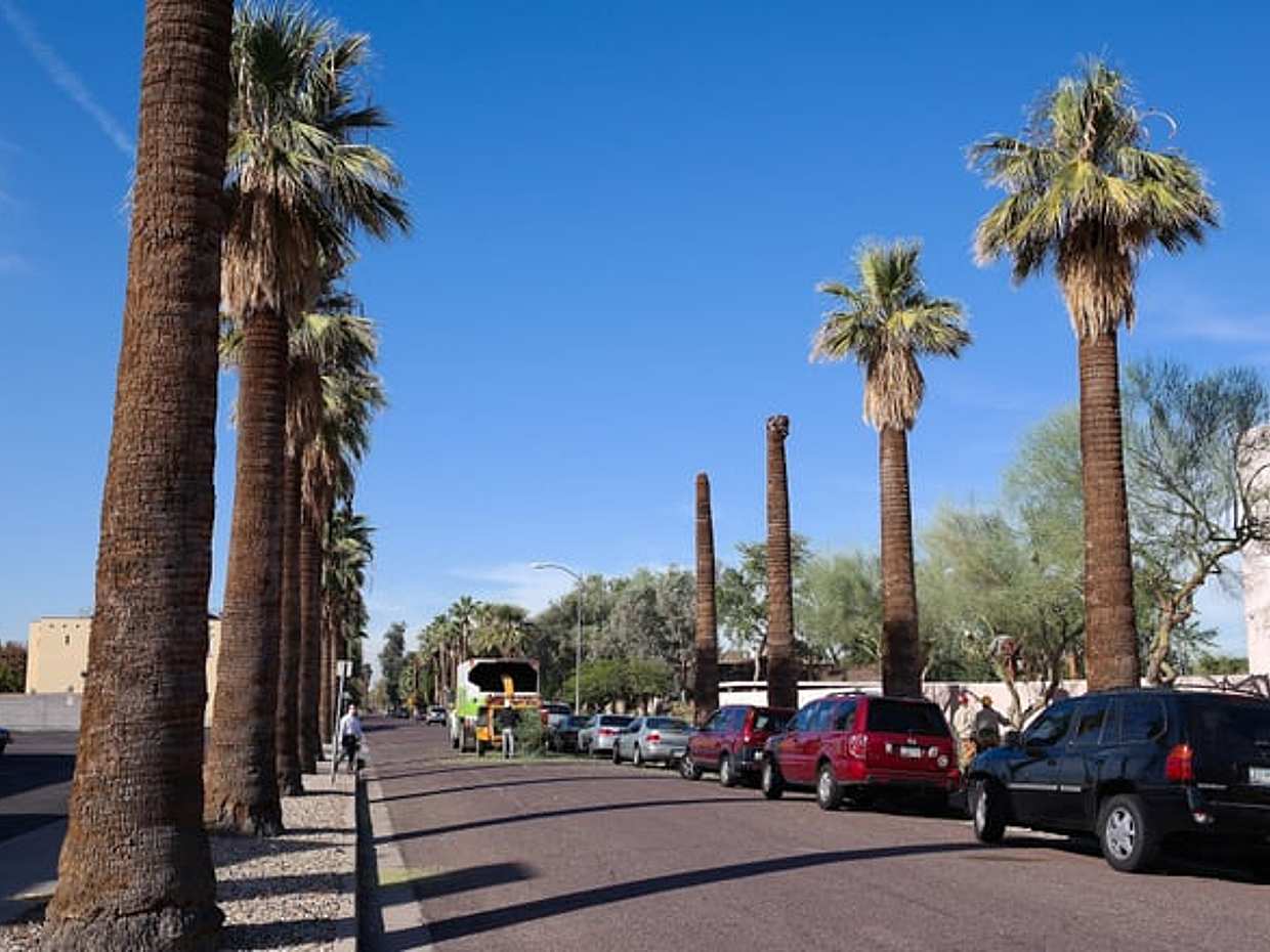 Phoenix: Black Ops, photo 5