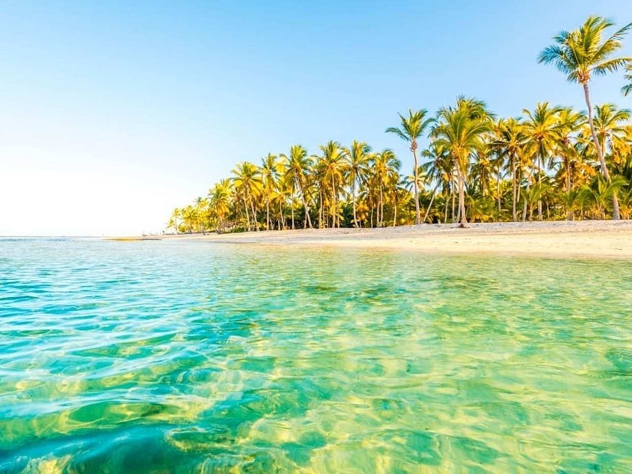 Saona Island with Mano Juan in Dominican Republic, Punta Cana