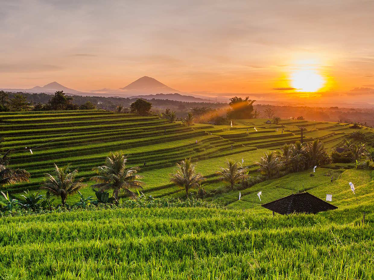 Bali Village Bike Tour, photo 2