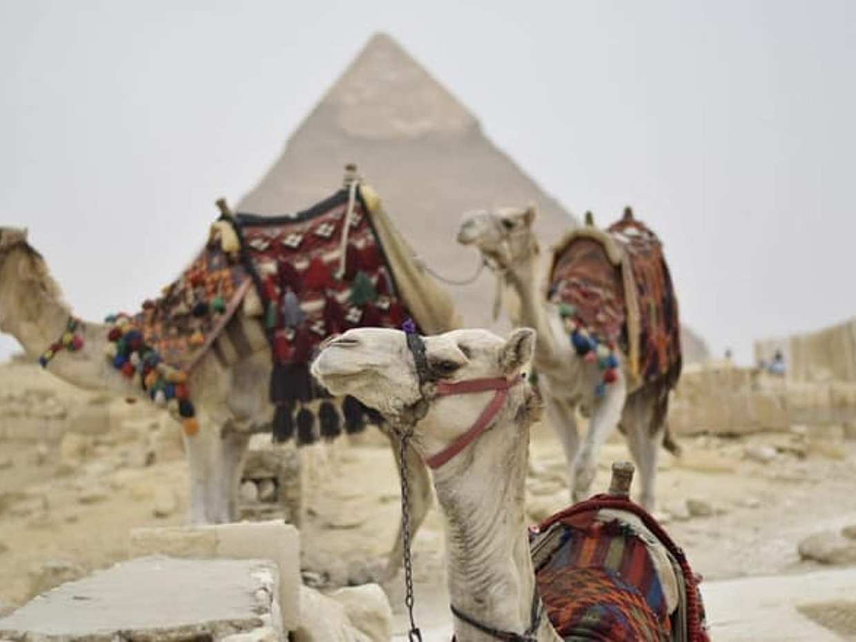 Cairo Overday Tour from Hurghada by Flight, photo 2