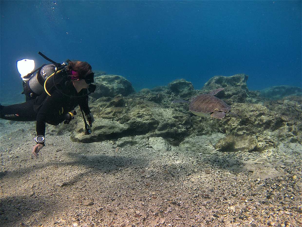 Scuba Diving for Beginners (try dive)